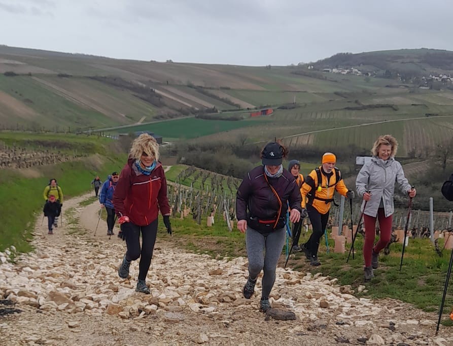 Chez nos amis sancerrois