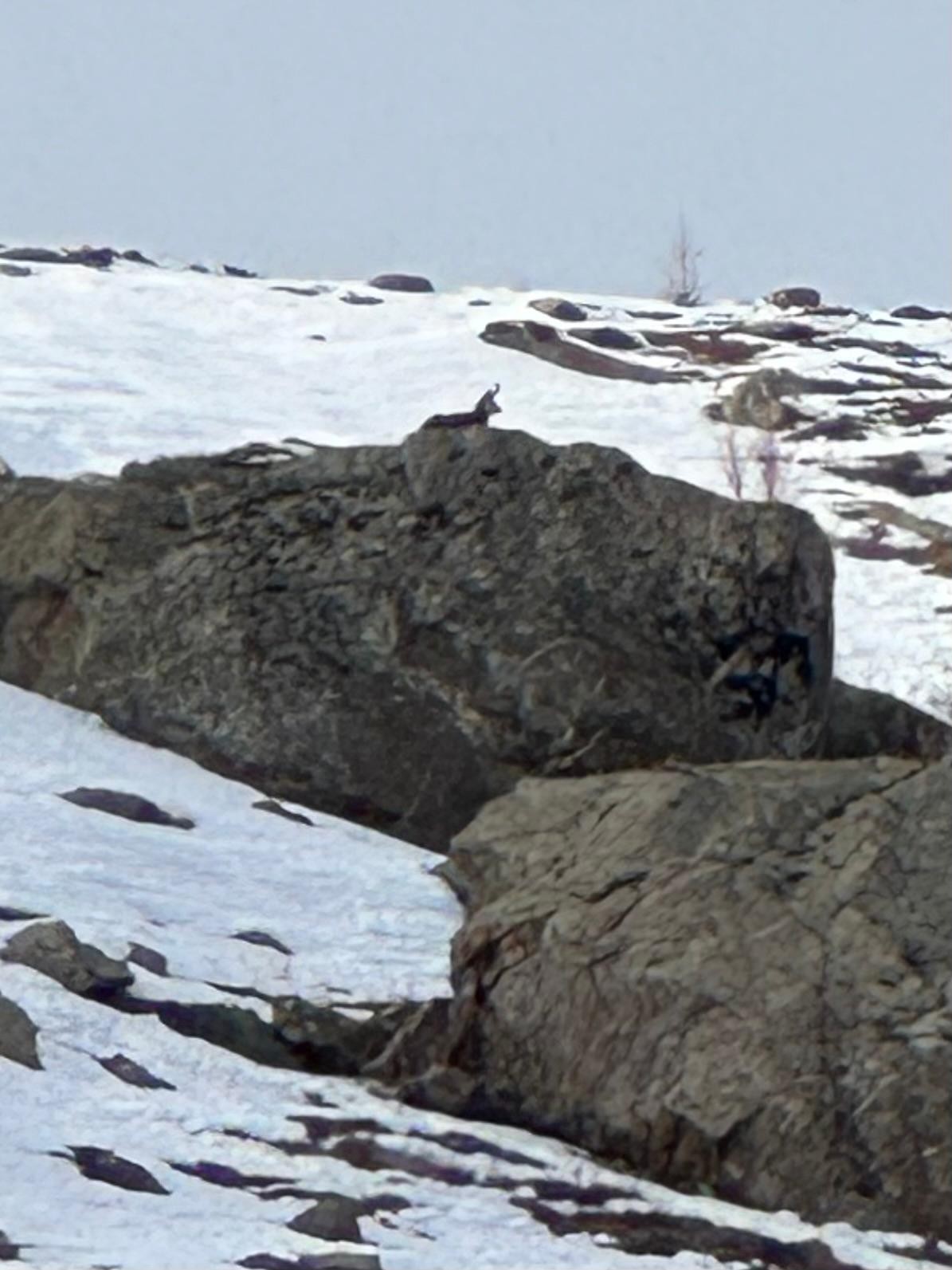 Bourg d'Oisans 2025 