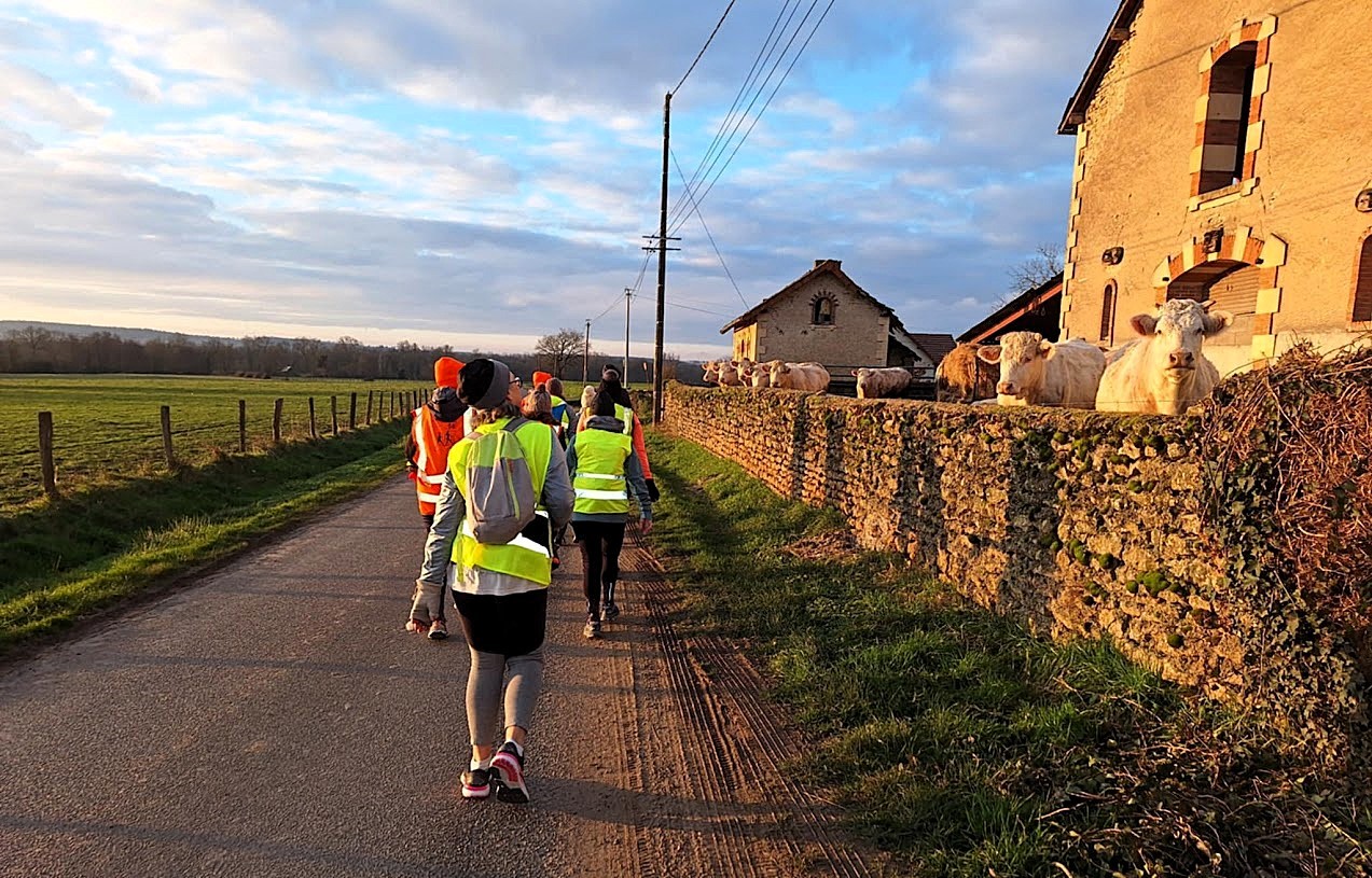 Dimanch'mat Audax 12 janvier 2025 