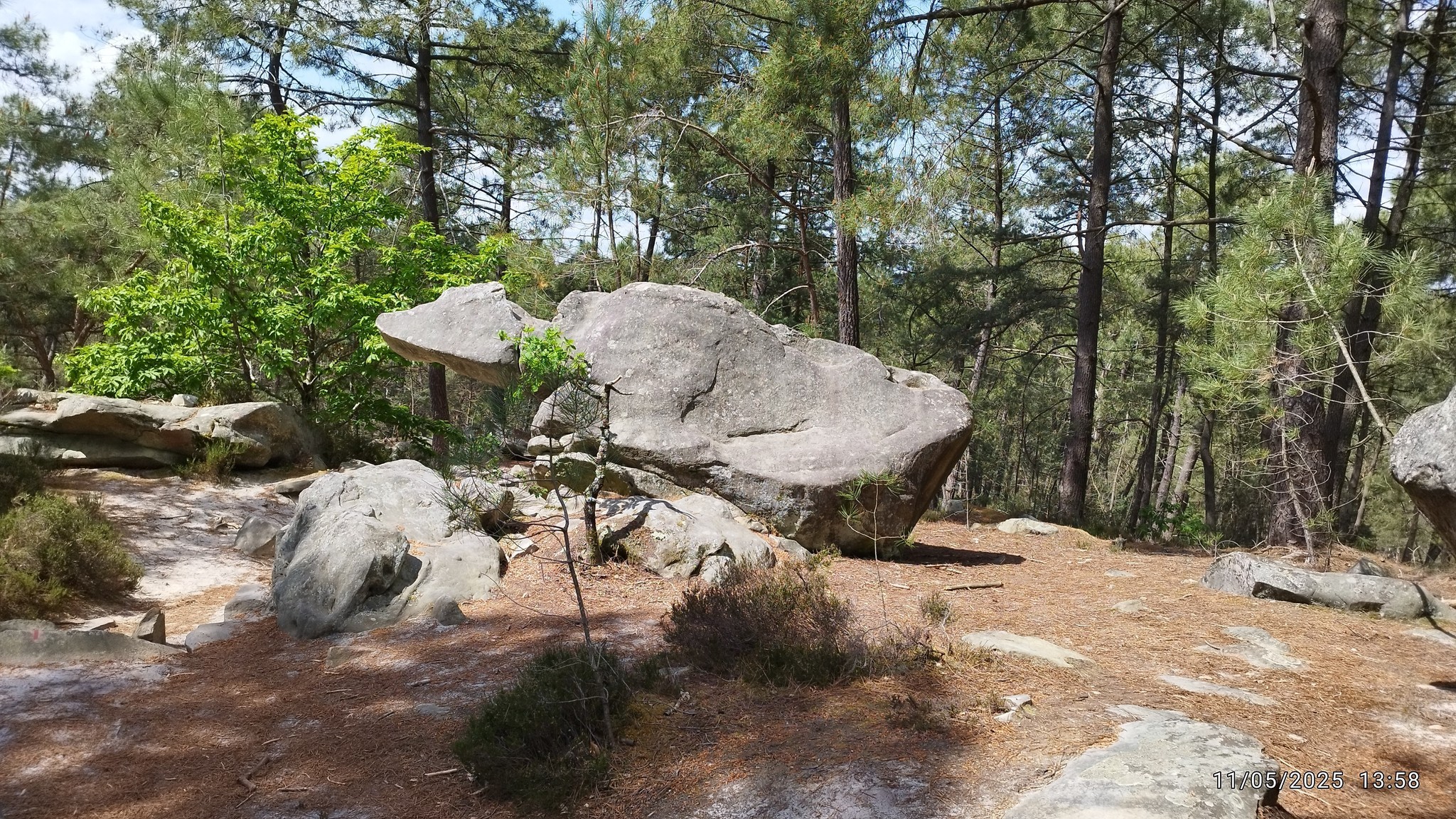 Fontainebleau - les 25 bosses 