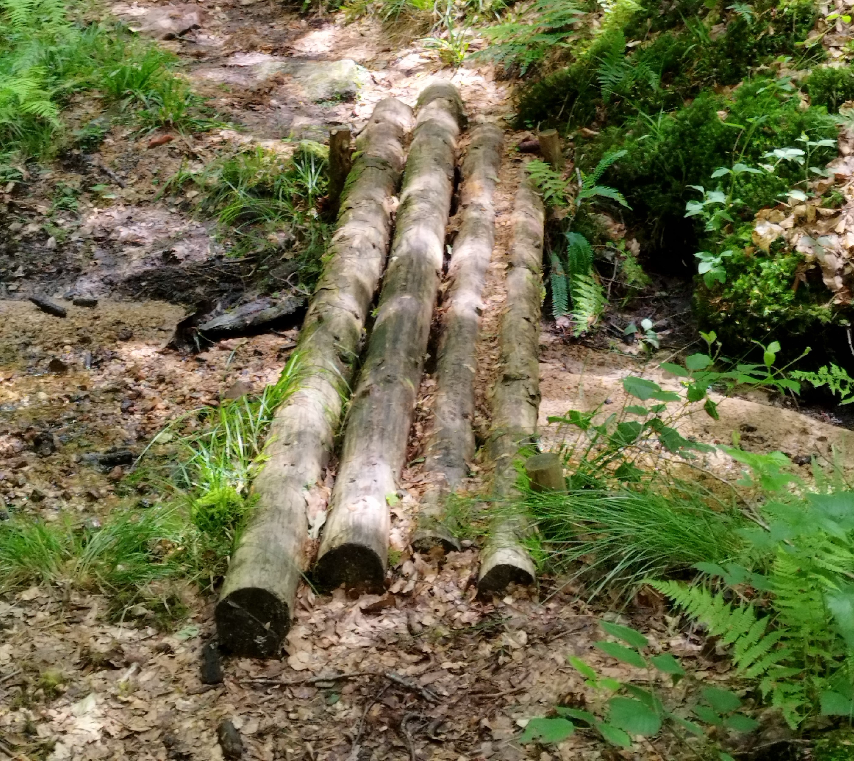 Week-end aux Settons