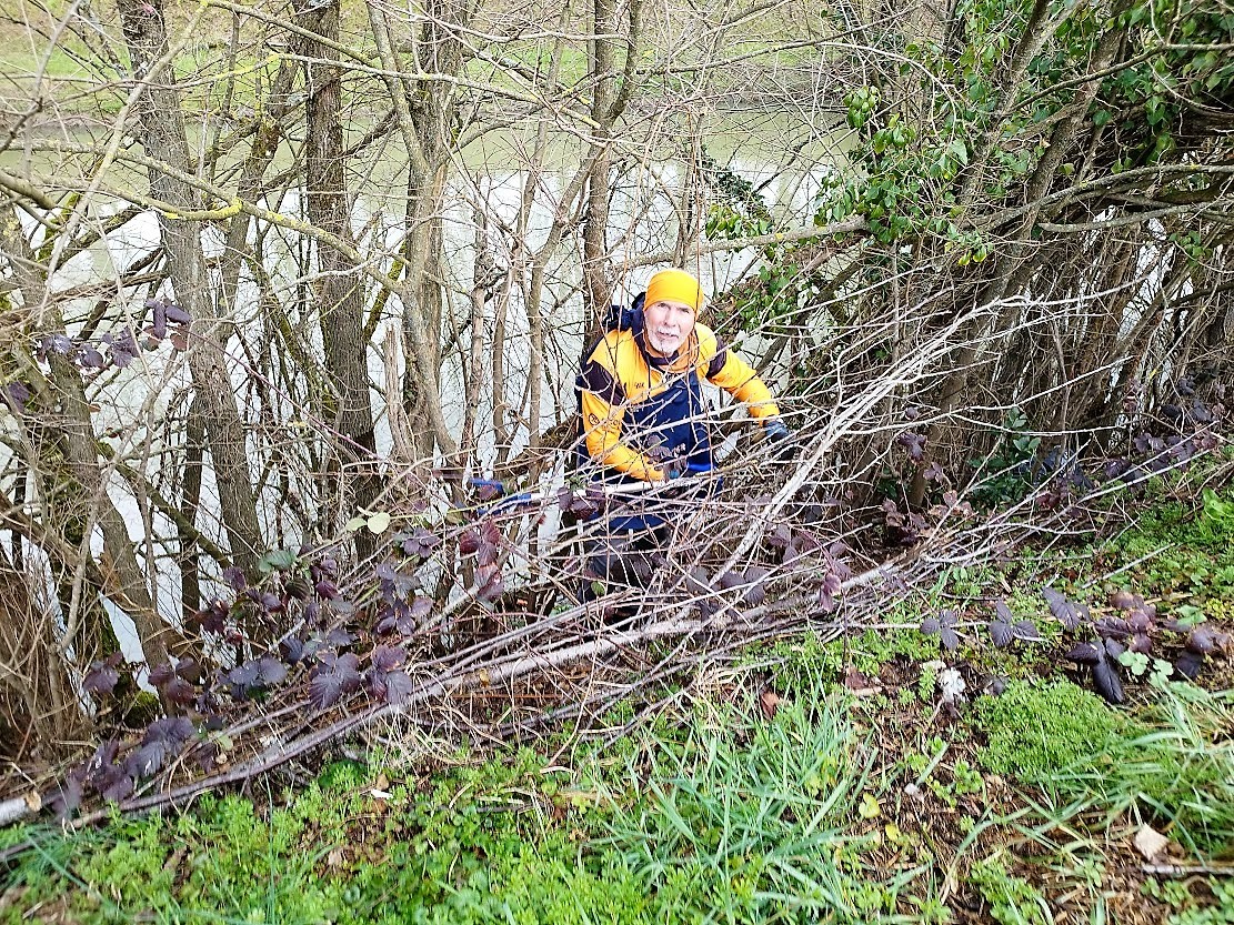 Marche participative de ramassage de déchets