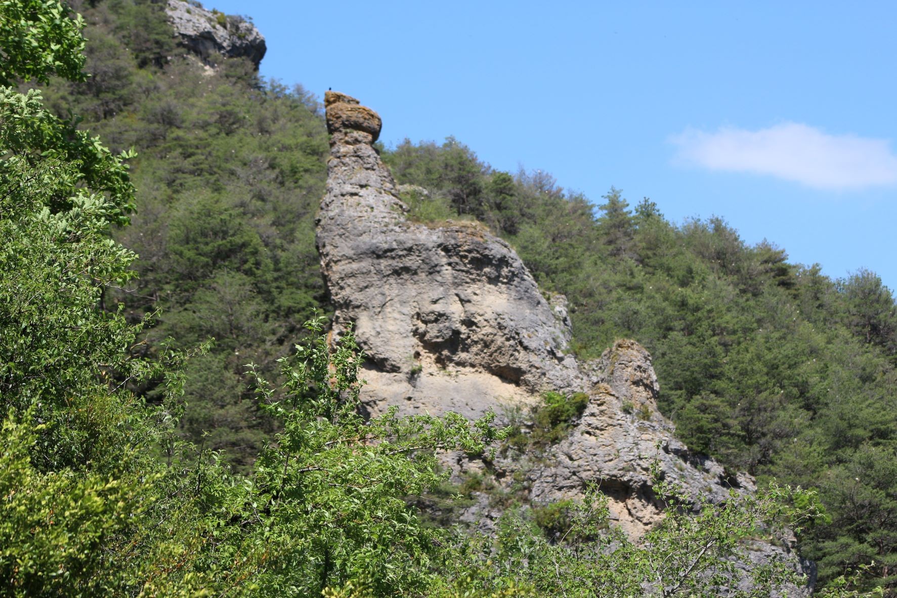 Roche ruiniforme des Causses