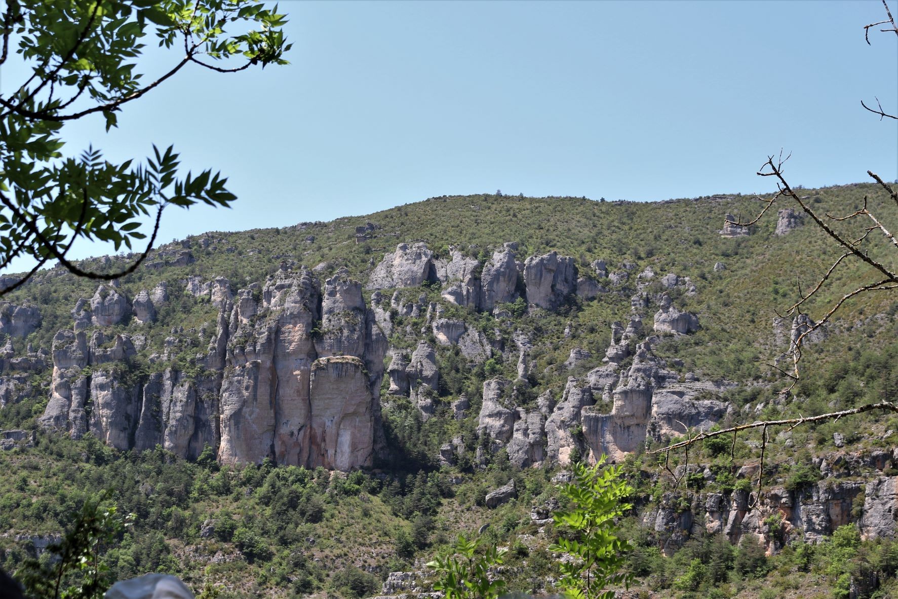 Roche ruiniforme des Causses