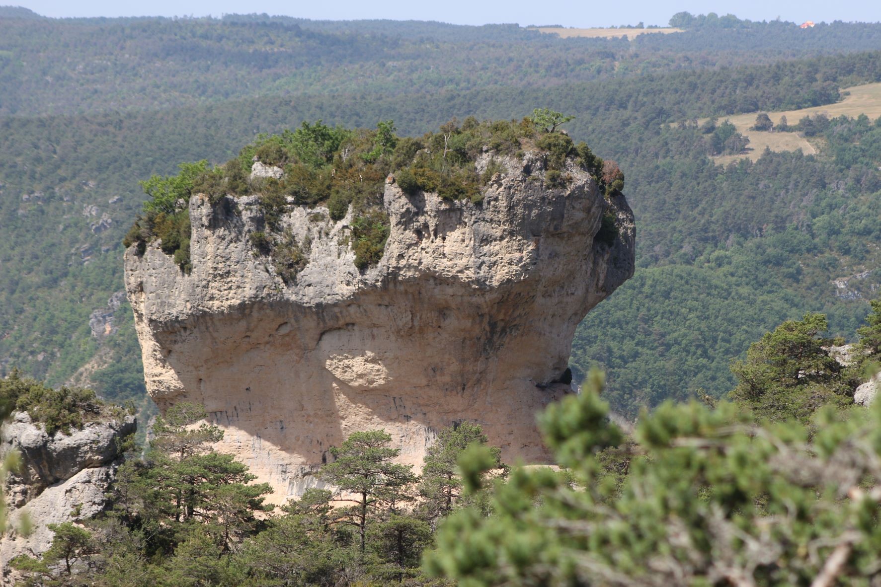 Roche ruiniforme des Causses