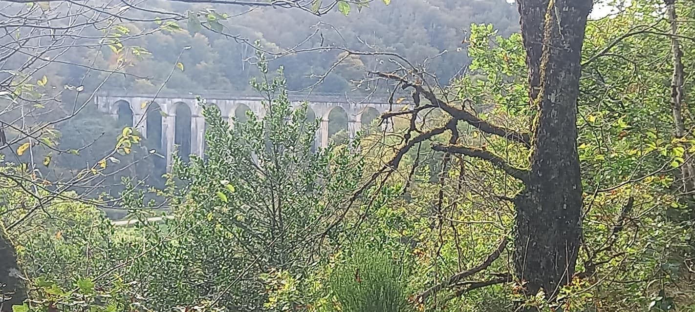 Sortie à thème le long du canal du Nivernais