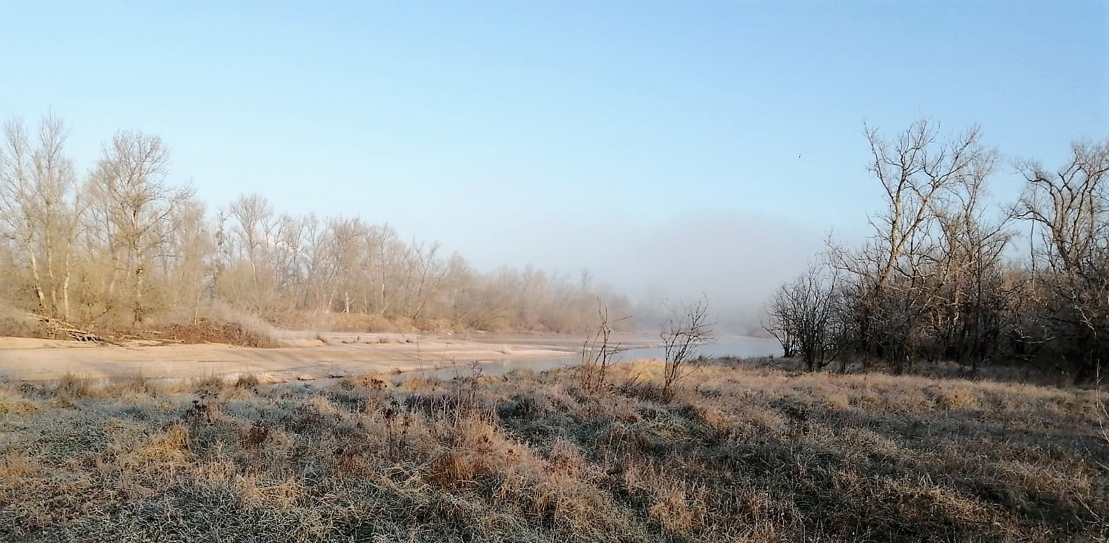 la brume du petit matin !