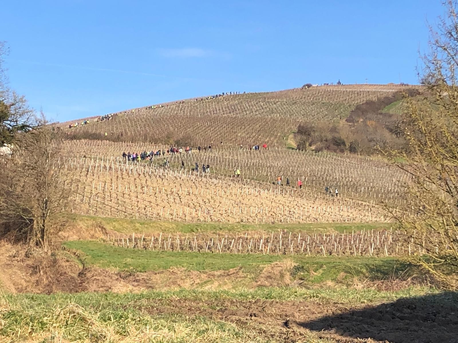 Bourges Sancerre 72è édition 